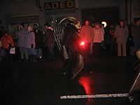 Perchtenlauf 2007